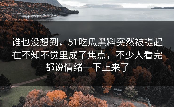 谁也没想到，51吃瓜黑料突然被提起在不知不觉里成了焦点，不少人看完都说情绪一下上来了  第1张